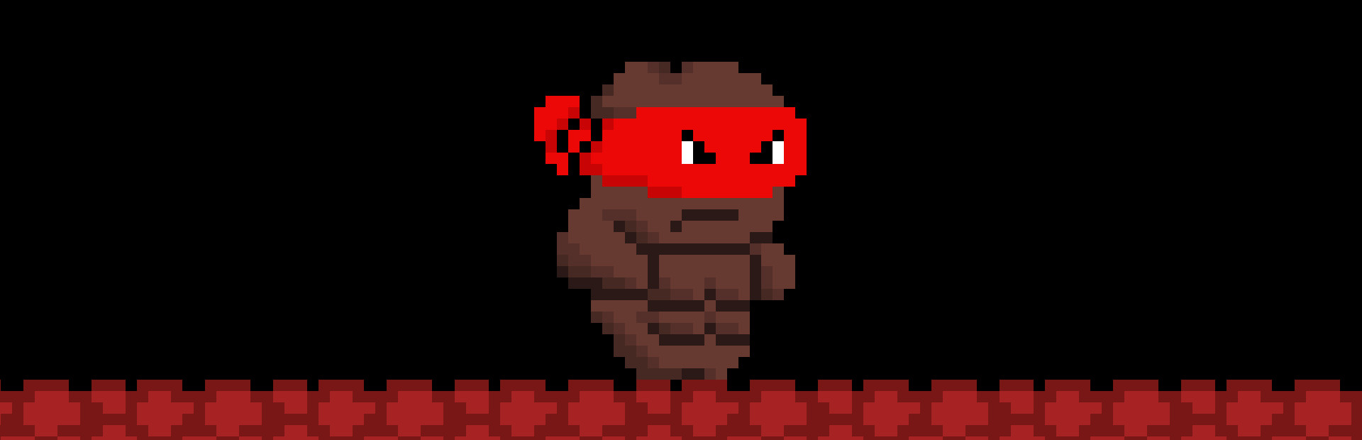 Ninja Turdle
