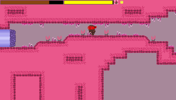 Screenshot z Ninja Turdle