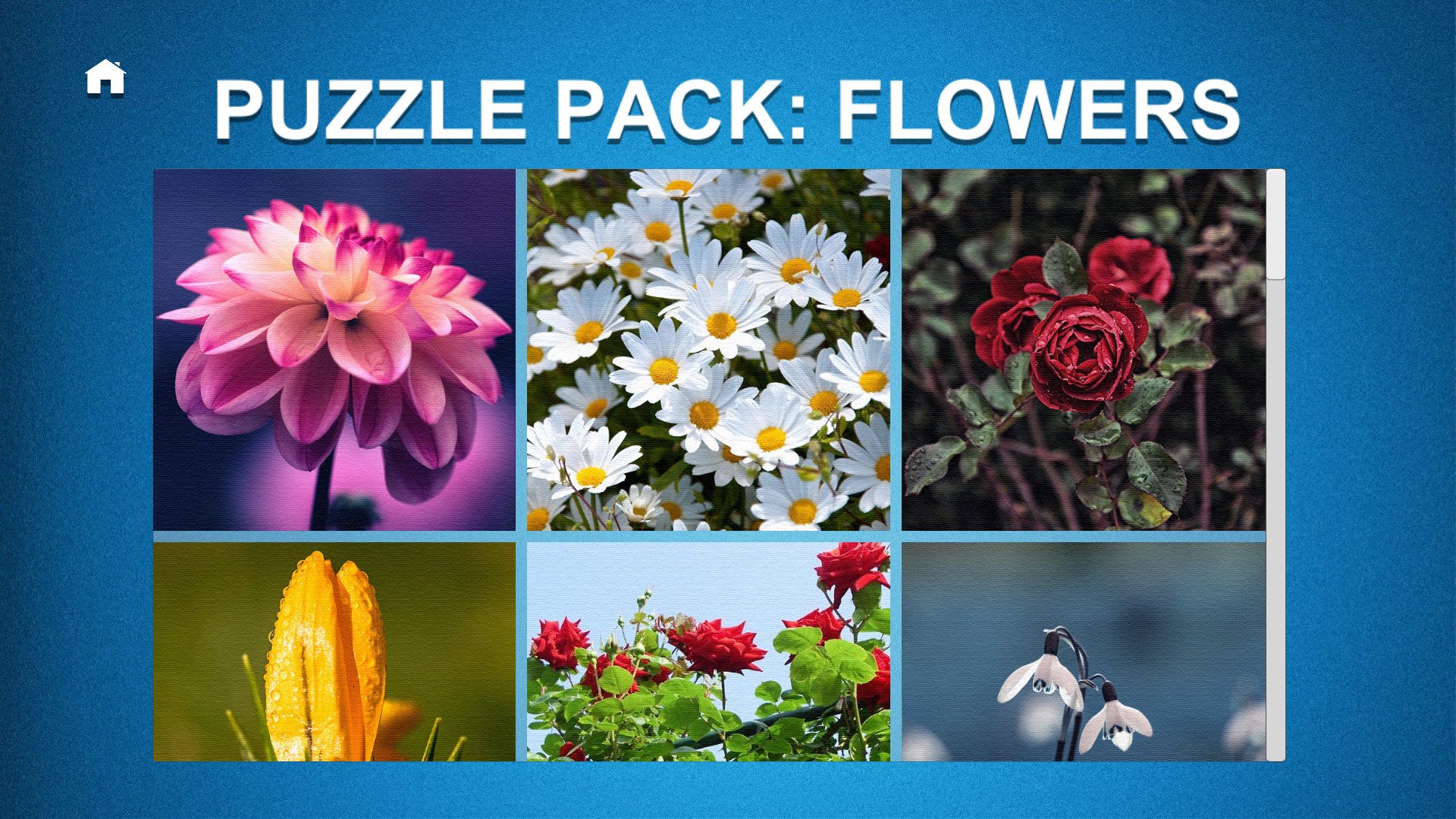 PUZZLE: ULTIMATE - Puzzle Pack: FLOWERS Featured Screenshot #1