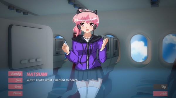 Screenshot z Pleasure Airlines