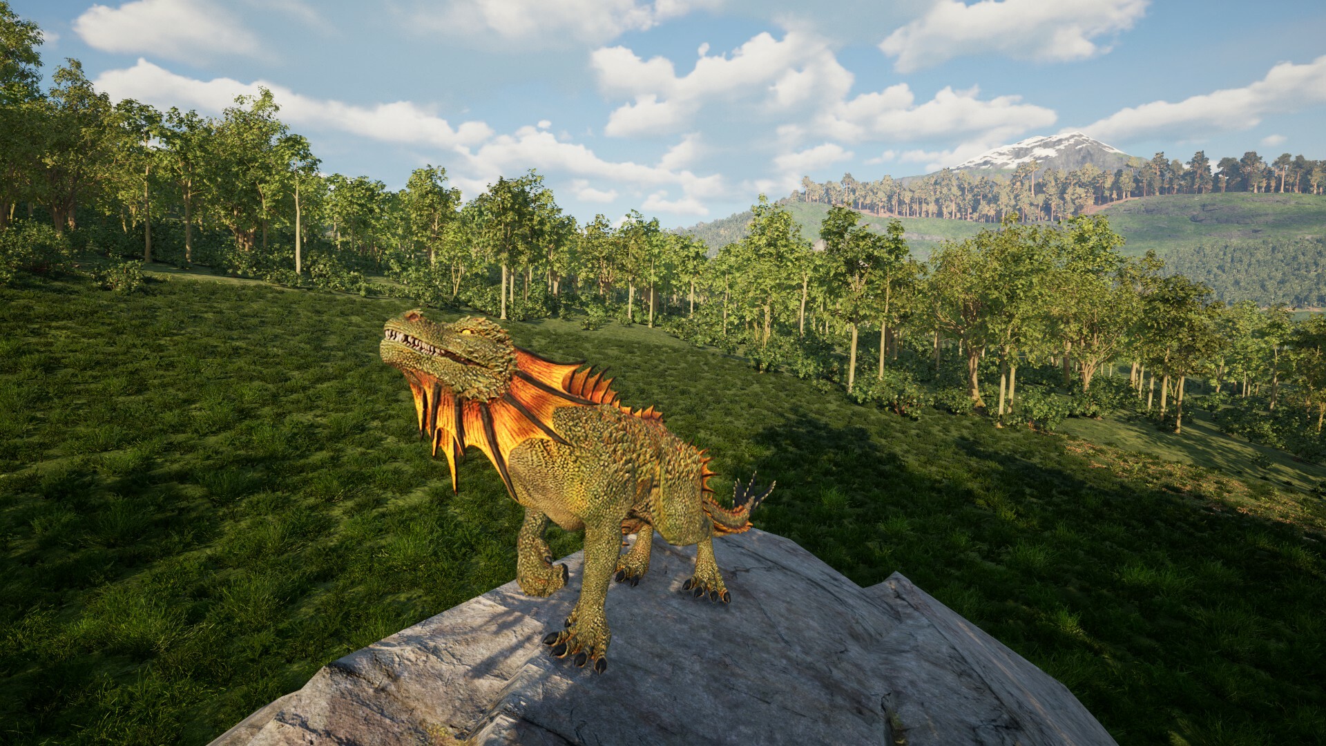 Screenshot 17