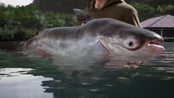 KHAiHOM.com - Fishing Sim World®: Pro Tour - Giant Carp Pack