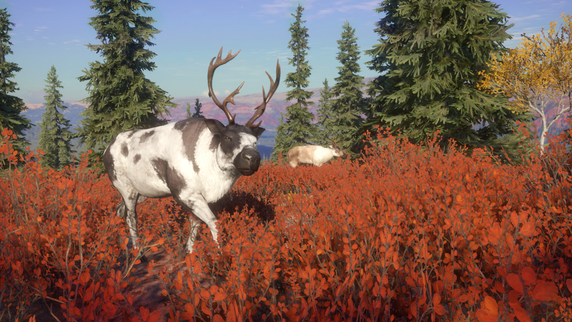 theHunter: Call of the Wild™ - Yukon Valley Featured Screenshot #1