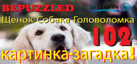 Купить ключ дешево Bepuzzled Puppy Dog Jigsaw Puzzle