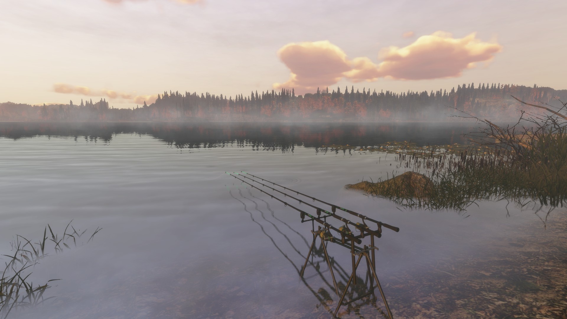 Fisher Online screenshot 2