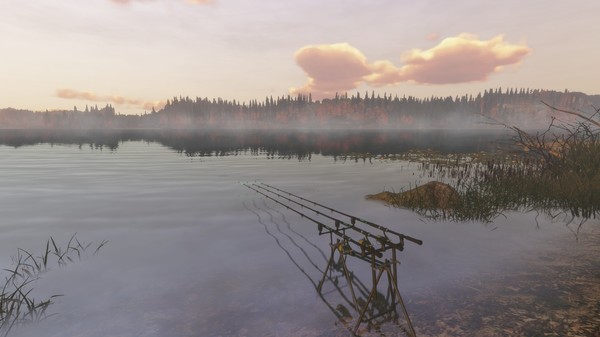 Fisher Online