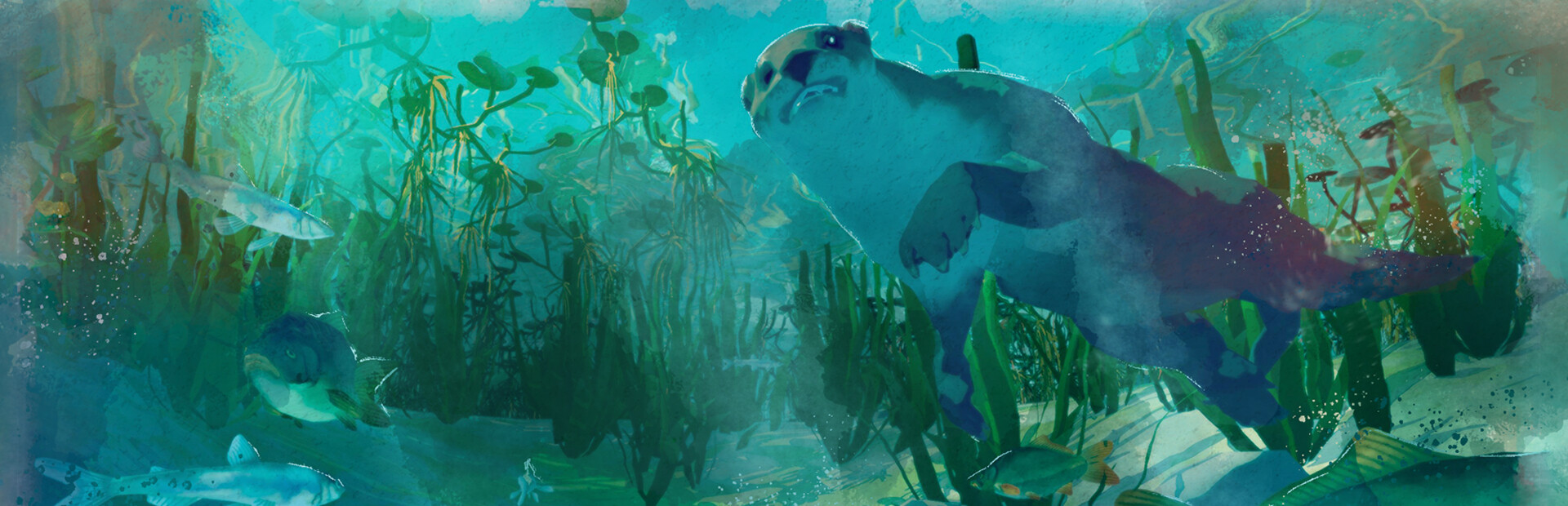 Among Ripples: Shallow Waters