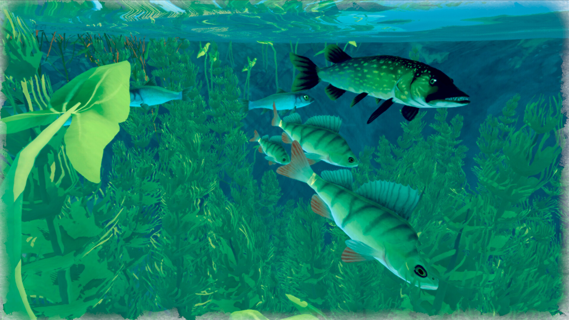 Among Ripples: Shallow Waters screenshot #1
