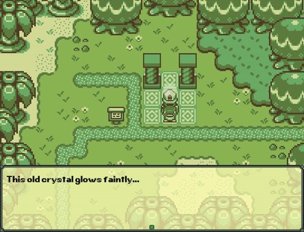 Timothy and the Mysterious Forest.