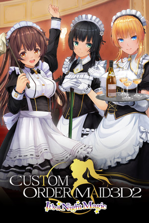 Cover art of CUSTOM ORDER MAID 3D2 It's a Night Magic