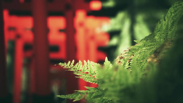 Explore Fushimi Inari VR Compatibility DLC