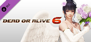 DOA6 Happy Wedding Costume Vol.1 - Nyotengu