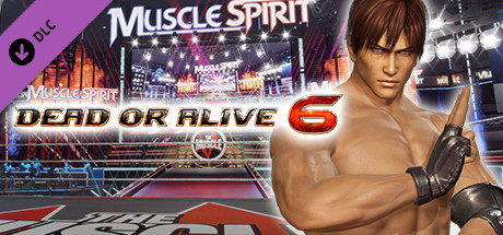 DOA6 Hayabusa Deluxe Costume cover art