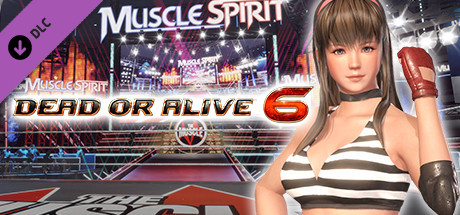 DOA6 Hitomi Deluxe Costume banner image