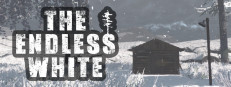 The Endless White