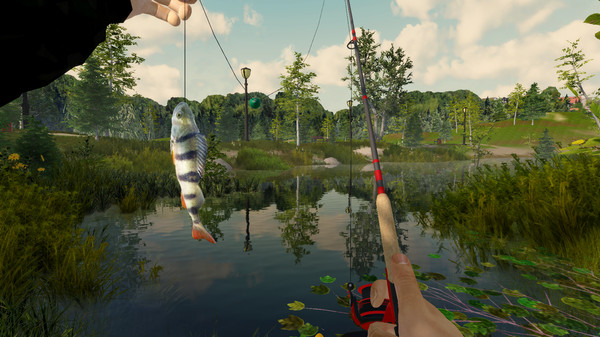 Fishing Adventure: скриншот 3