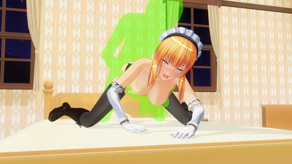 CUSTOM ORDER MAID 3D2 It's a Night Magic R18 patch