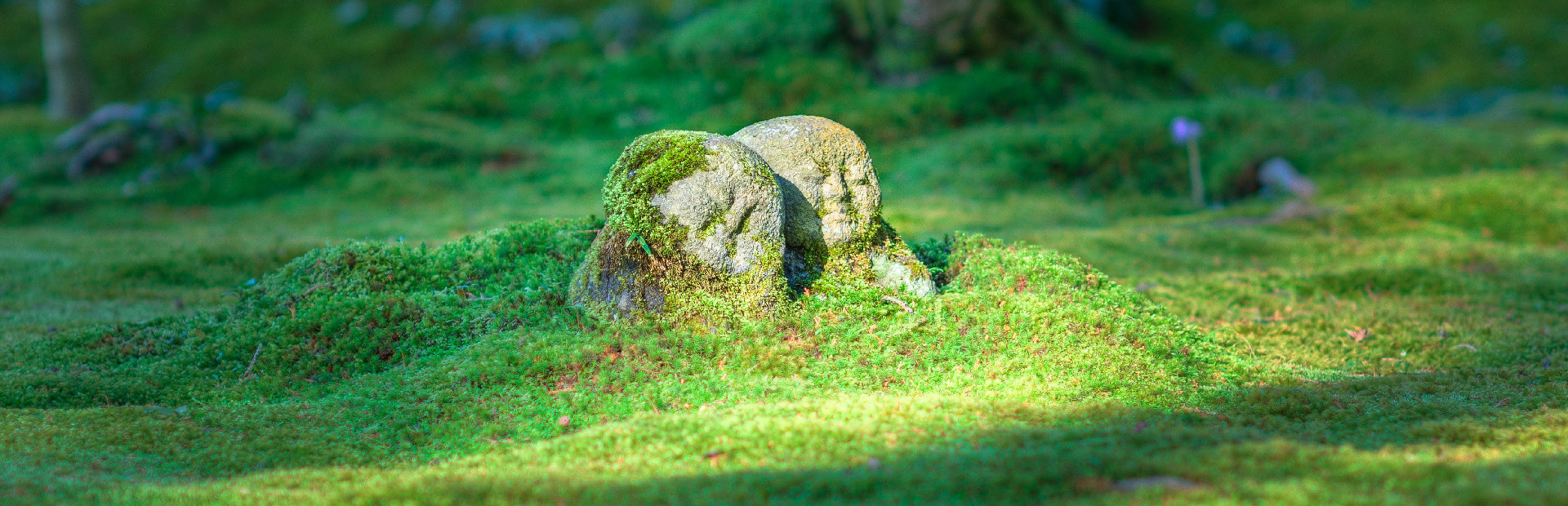 Bepuzzled Jigsaw Puzzle: Japan
