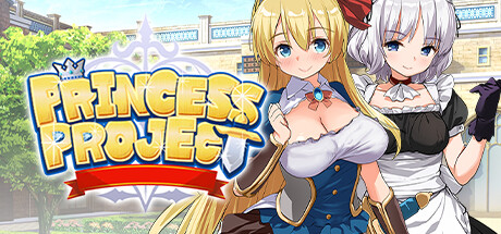 Princess Project banner image