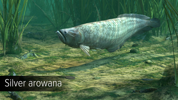Ultimate Fishing Simulator - Amazon River DLC screenshot 15