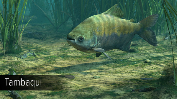 Ultimate Fishing Simulator - Amazon River DLC screenshot 17