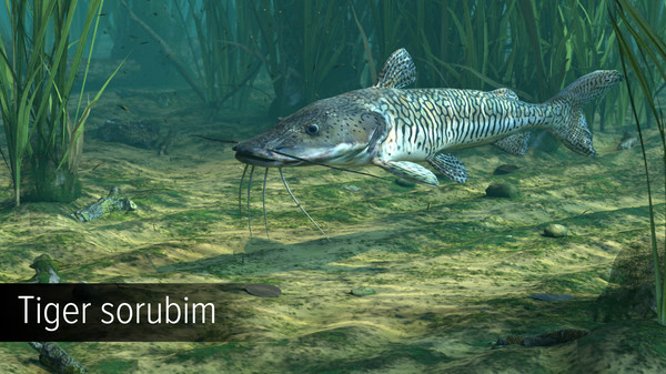 Ultimate Fishing Simulator - Amazon River DLC.