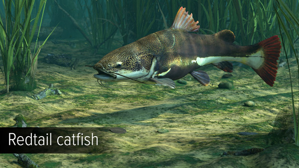 Ultimate Fishing® Simulator - Amazon River DLC