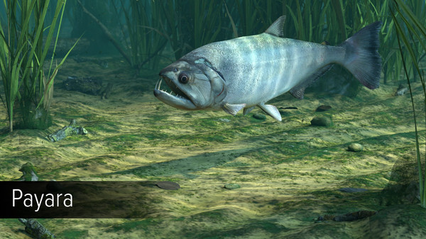 Ultimate Fishing Simulator - Amazon River DLC screenshot 16