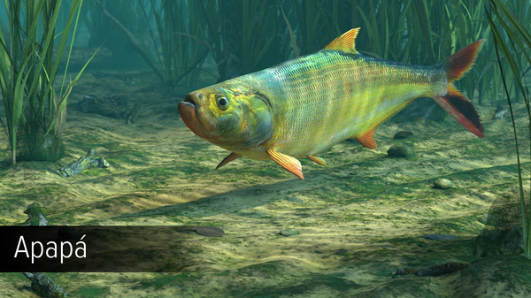 Ultimate Fishing Simulator - Amazon River DLC.