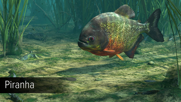 Ultimate Fishing Simulator - Amazon River DLC.