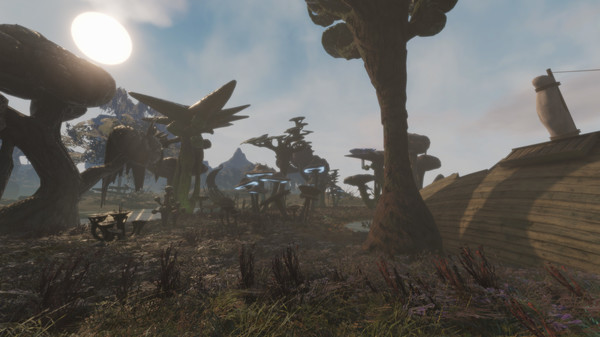 Isles of Adalar