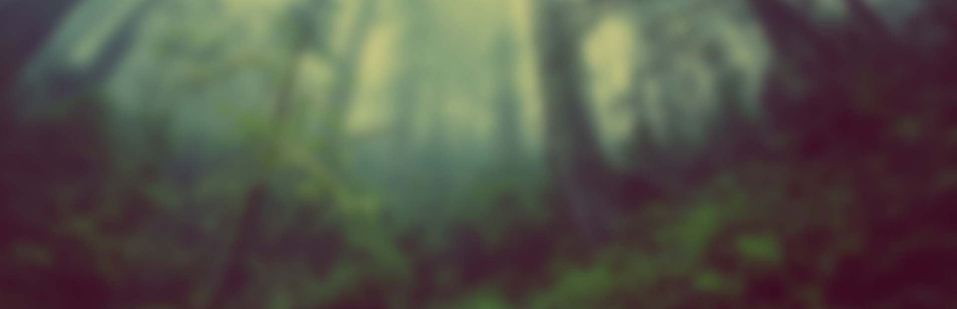 Wildland