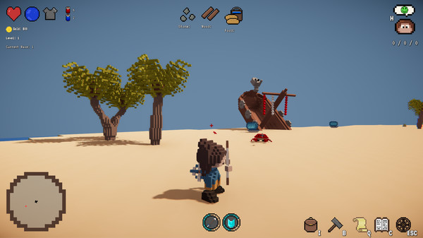 Screenshot z Voxel Crusade