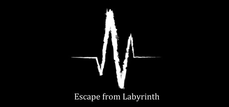 Escape from Labyrinth Cover Image