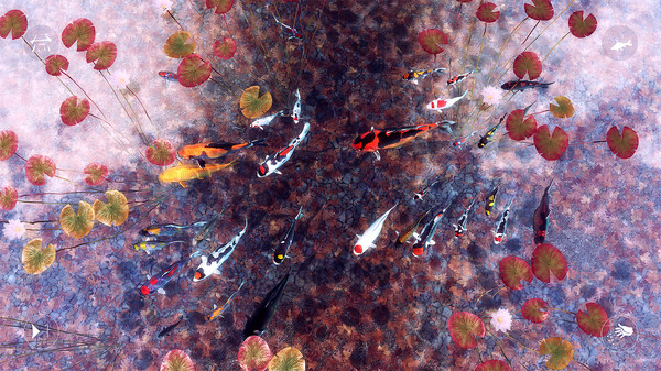 My Koi-游戏截图