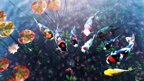 My Koi-游戏截图