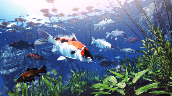 My Koi-游戏截图