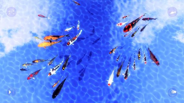 Screenshot z My Koi