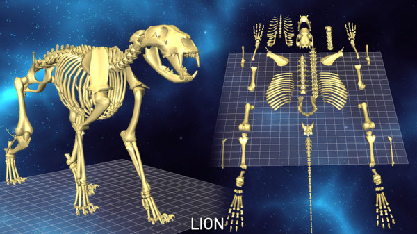 World of Guns VR: 5 Skeletons Pack