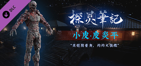 探灵笔记-怨灵小皮·皮炎平（附送29999灵币） banner image