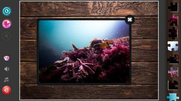Under the Sea Jigsaw Puzzles