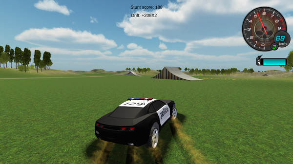 Police Stunt Cars