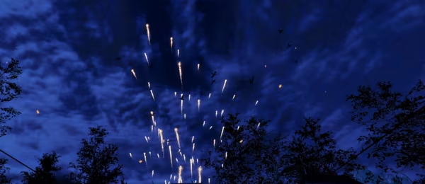 Party Maker video 4