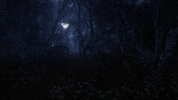 Screenshot z The Forgotten