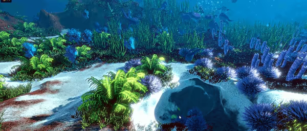 Ecosystem video 5