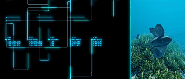 Ecosystem video 1