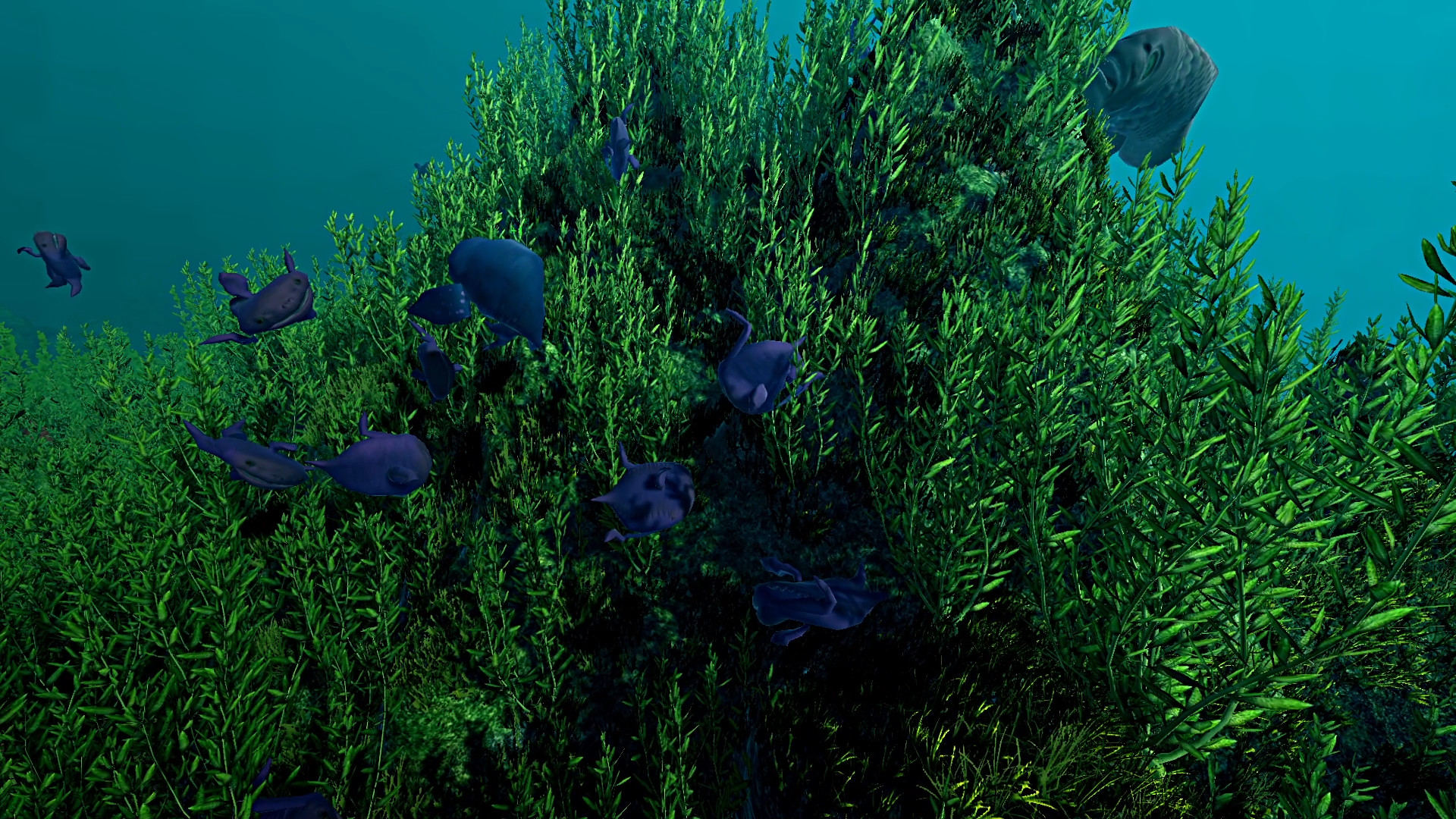 Ecosystem screenshot #4
