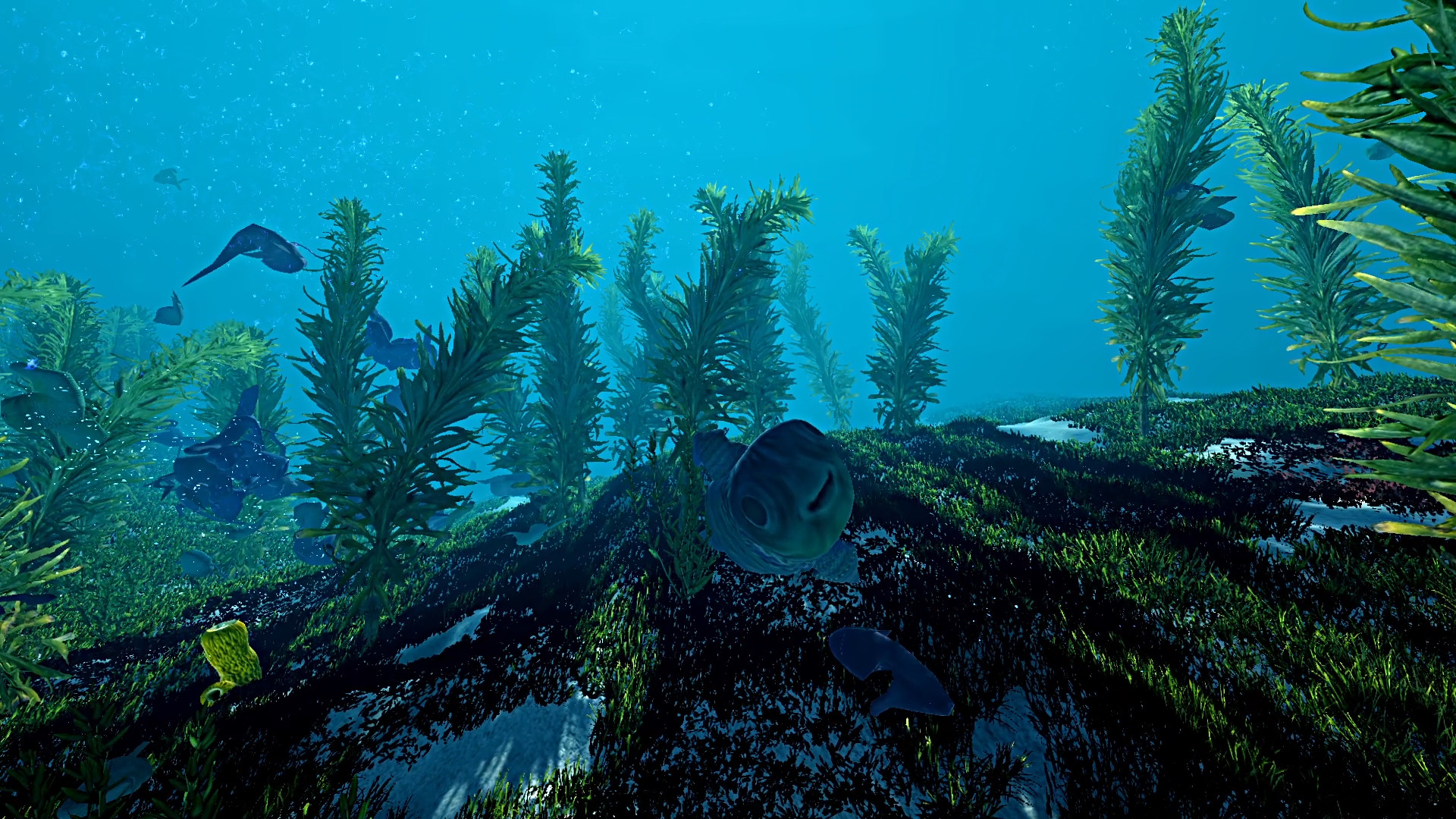 Ecosystem screenshot #13