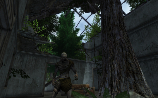 Screenshot z Fallen Earth Classic