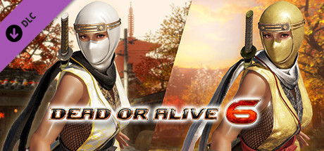 DOA6 Morphing Ninja Costume - La Mariposa